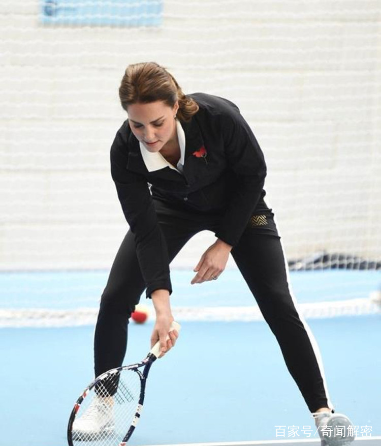 的哈兰德 的哈兰德